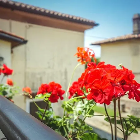Sandra Apartment Umag