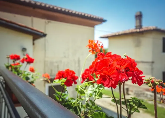 Sandra Appartement Umag